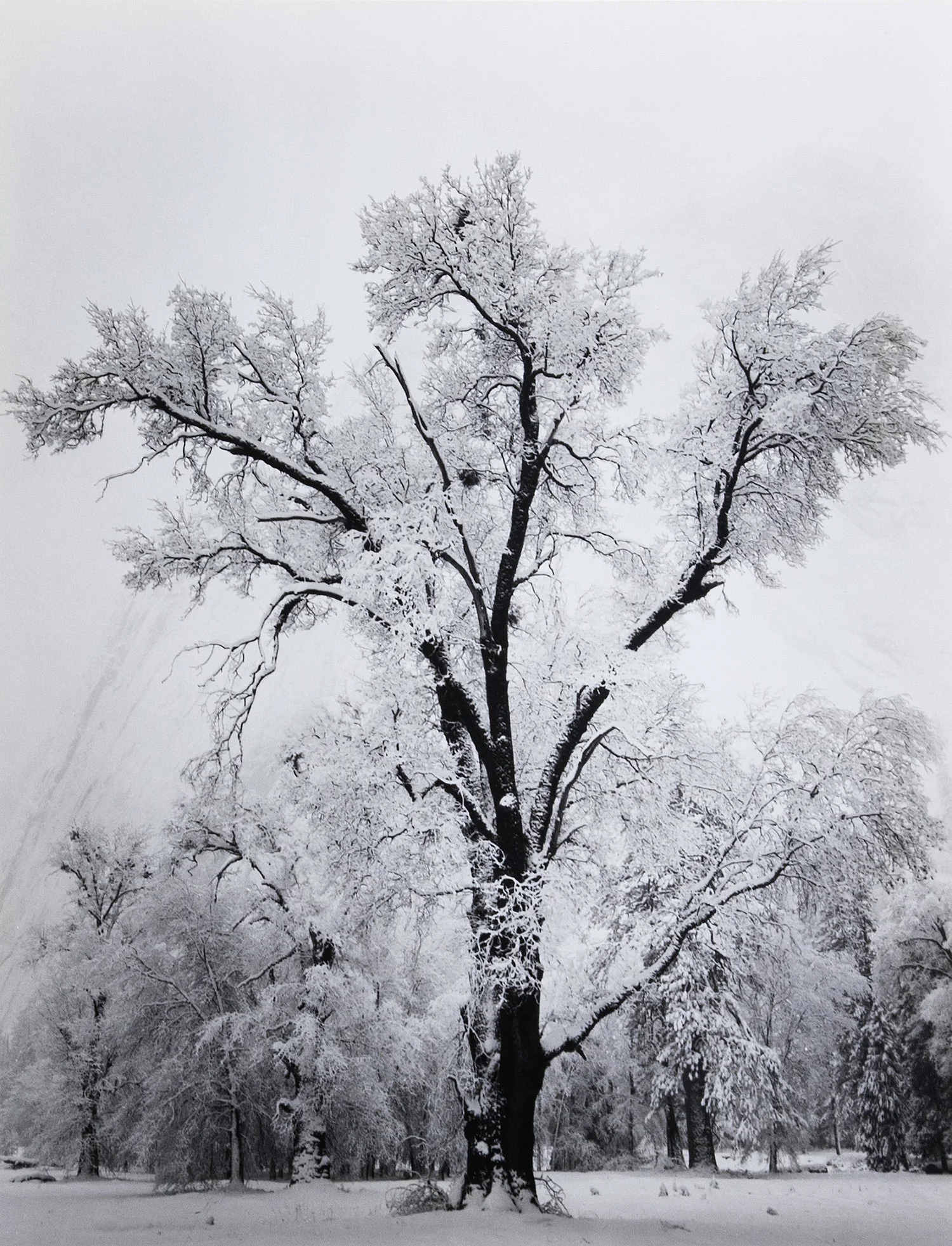 Signed Special Edition Photographs